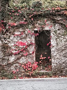 Overgrown doorway in Varenna Italy