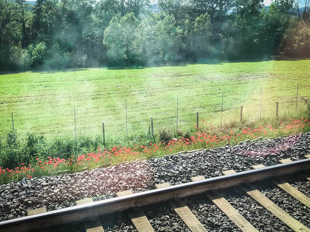 Day Trips in Italy red poppies along the train track. Alt text:
View from a train window traveling through the Italian countryside on a trip to Italy