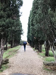 Man with umbrella on tree lined path in France