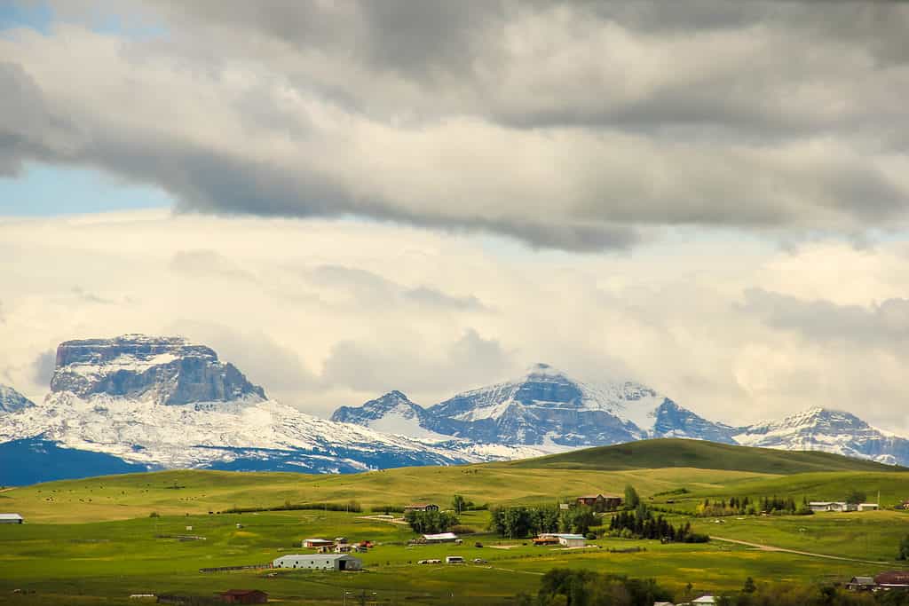 IMG 2081 LRE Web Snow capped peaks of Old Chief Mountain in Alberta Canada viewed from green meadows highlighting scenic views when driving through mountains.