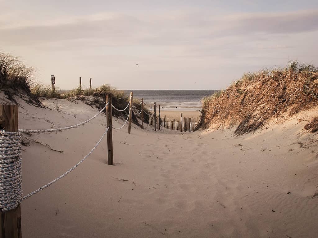 Howes Street Beach in Massachusetts