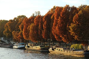 The boats and fall color along the Seine
