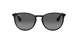 Ray-Ban Erika Sunglasses