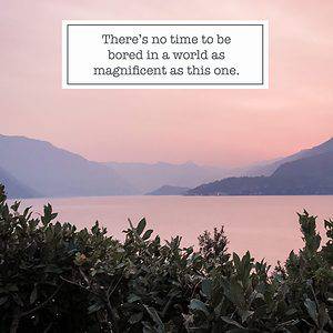 Instagram content quote there's no time to be bored in a world as magnificent as this one