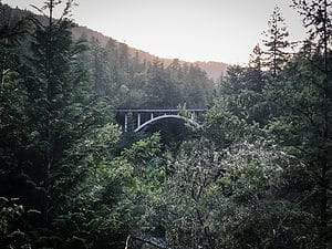 Bridge in California on a road trip to the redwoods