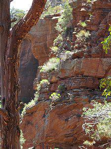 Indian Face carved in mountain in Sedona