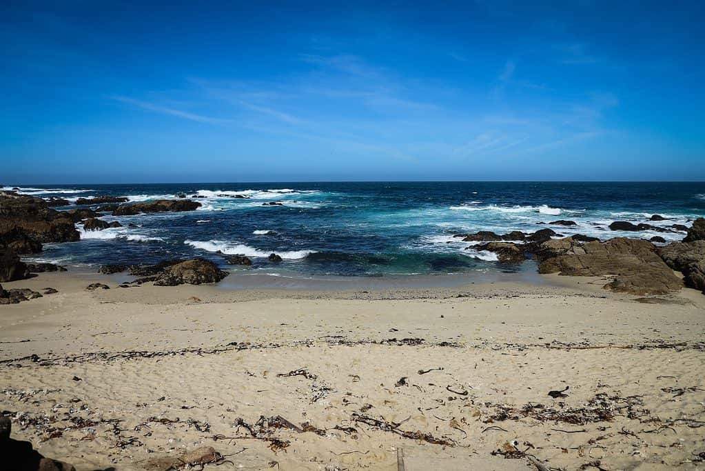 Discover 17-Mile Drive at Pebble Beach