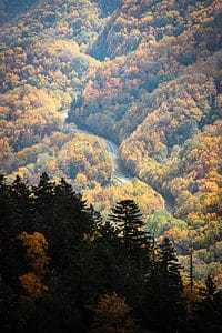 vibrant fall foliage in North Carolina, one of the colorful destinations