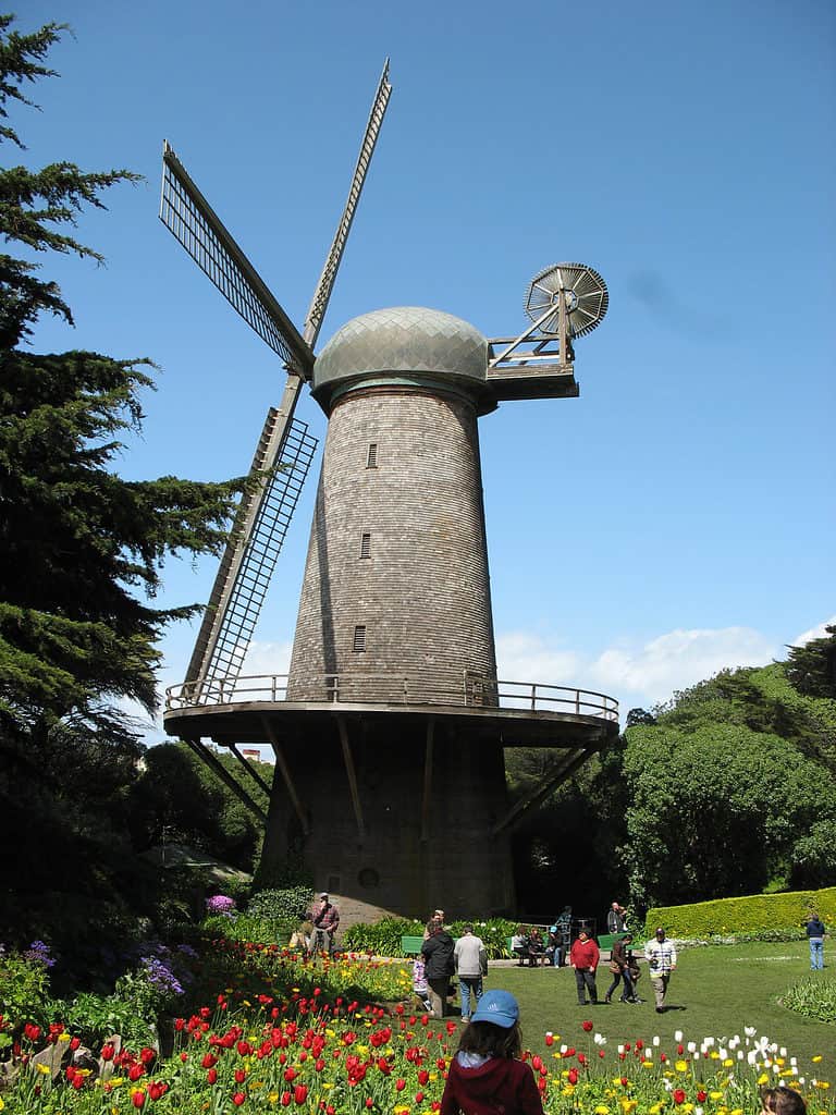 IMG 6939 Windmill in San Francisco with kids