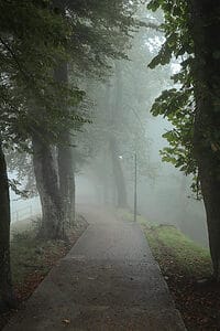 A foggy, tree-lined path winds down the mountainside on Mt. Bre near Lugano