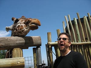 Cheyenne Mountain Zoo for fun family adventures in Colorado Springs