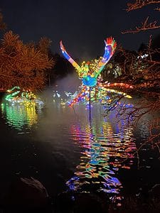 Garden of Light show are one of the best things about Montreal in October