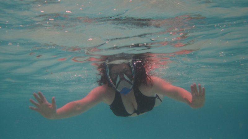 25 Pros and Cons of a Full Face Snorkel Mask for Tropical Snorkel Spots