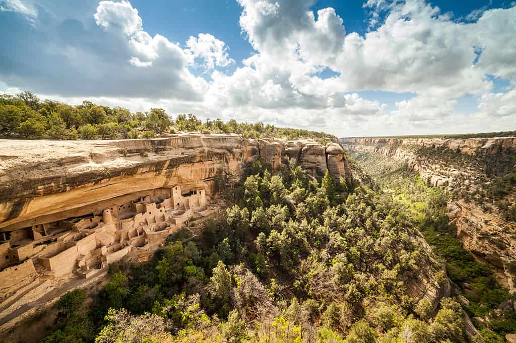Ancient cliff dwellings nestled into the canyon walls of Mesa Verde National Park, the highlight of epic mesa verde tours in Colorado.