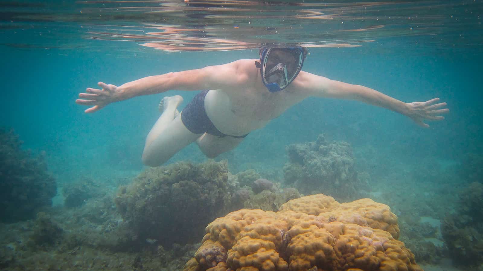 25 Pros and Cons of a Full Face Snorkel Mask for Tropical Snorkel Spots