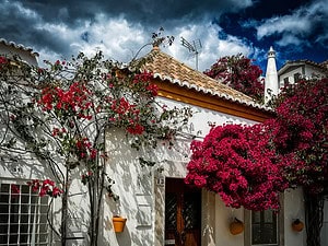 A whitewashed Portuguese home covered in bright bougainvillea under dramatic clouds, highlighting charming things to do in Tavira.