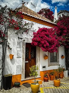 Colorful home and bougainvillea are awesome to photograph when looking for things to do in Tavira, Portugal