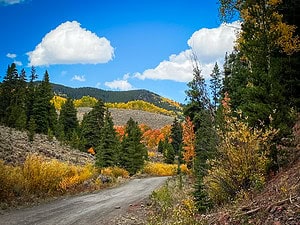 Fall colors on Monarch Mountain in Colorado along Marshall Pass.