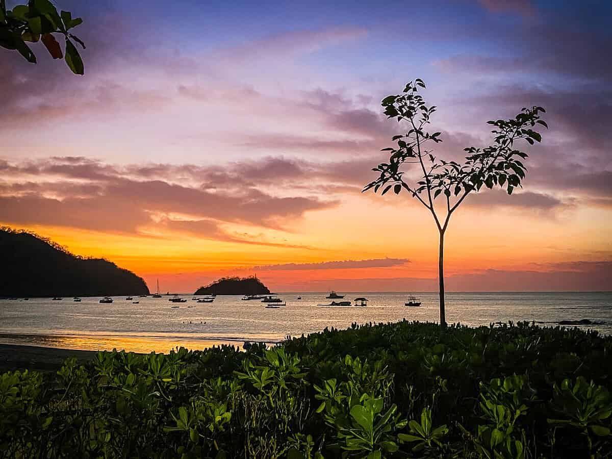 Silhouetted tree against a colorful sunset over Playa Hermosa Costa Rica, a romantic sun sand and sea destination.