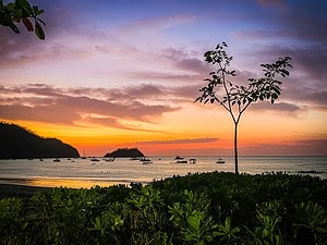 Silhouetted tree against a colorful sunset over Playa Hermosa Costa Rica, a romantic sun sand and sea destination.
