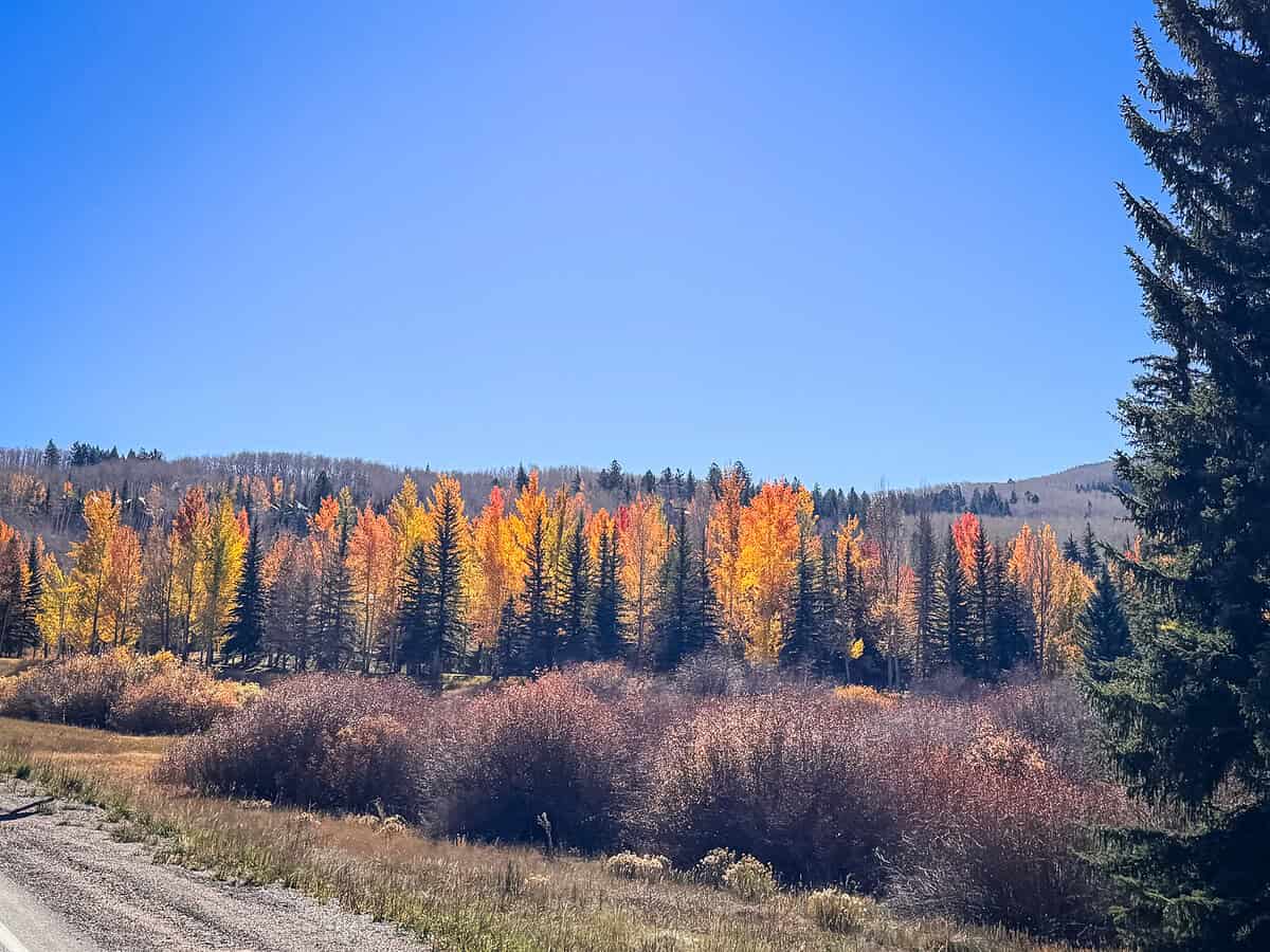 Aspen Snowmass color in the fall in Colorado.