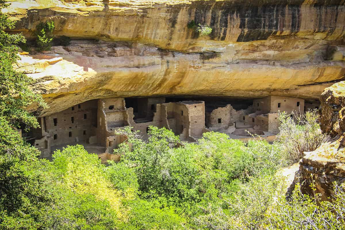 Spruce Tree House cliff dwelling nestled beneath a sandstone overhang at Mesa Verde National Park, currently viewable from the overlook on mesa verde tours.