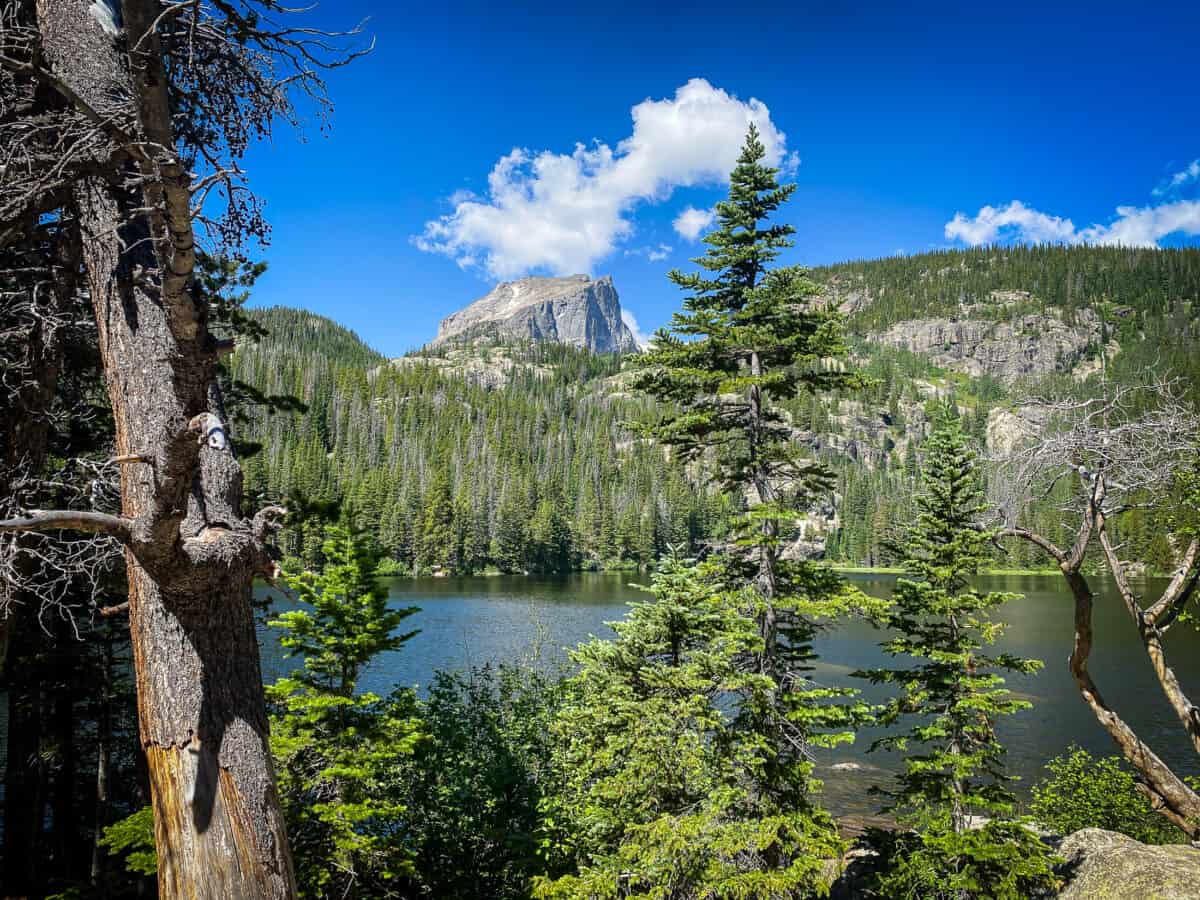 20230715 hikesincolordoneardenver 4708 20230715 hikesincolordoneardenver 4708